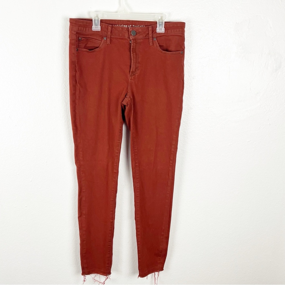 ARTICLES OF SOCIETY Sarah Burnt Orange Release Frayed Hem Skinny Jeans, Size 30